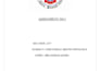 write a professional assignment report or academic documents